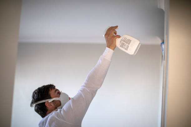 Best Best Mold Removal Companies  in Gang Mills, NY